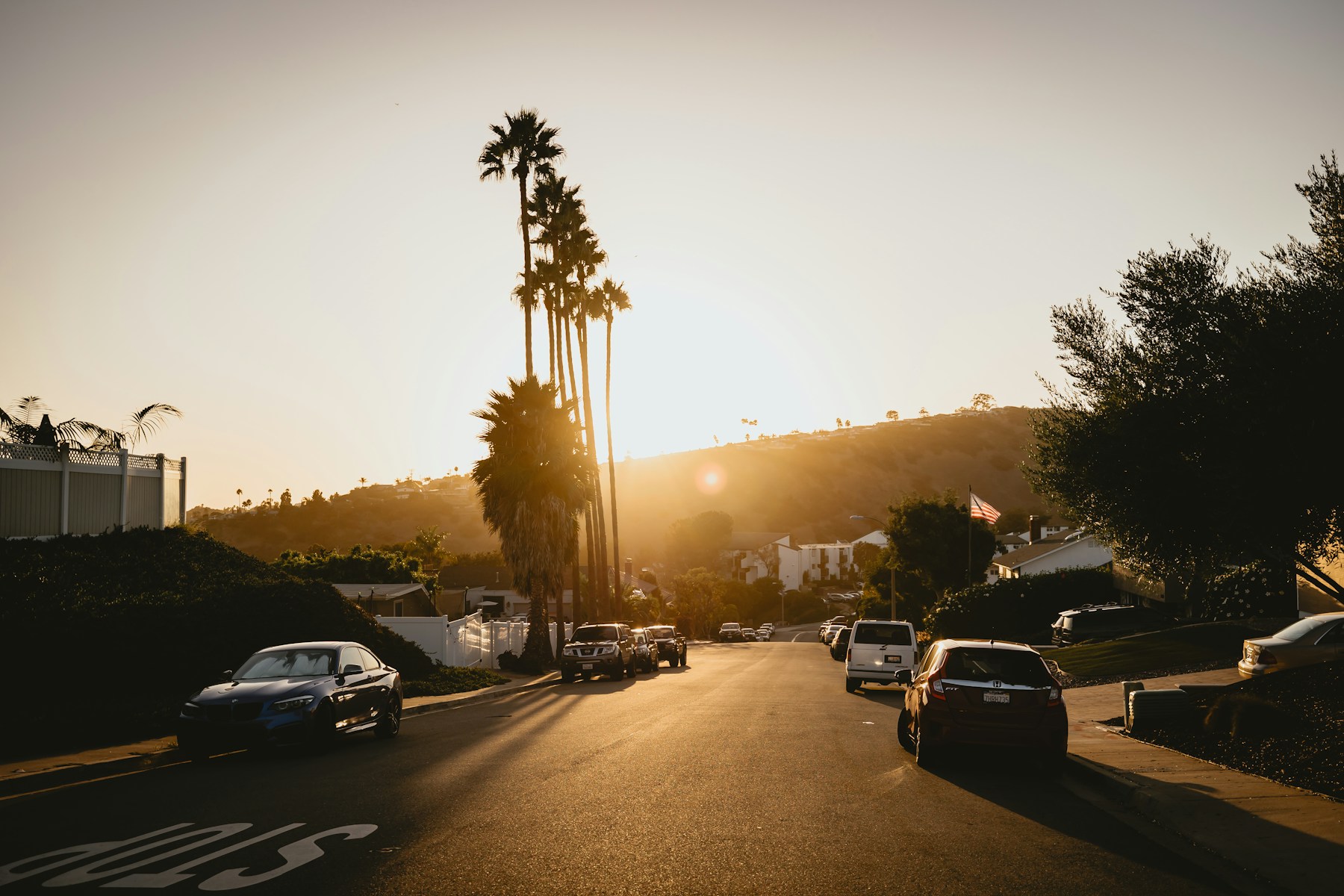 Palm trees and coastal hills lit by an Orange County sunset